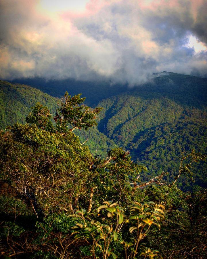 Hotel Santa Fe B&B Monteverde ภายนอก รูปภาพ